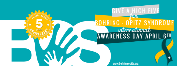 BOS high 5 fb banner 4