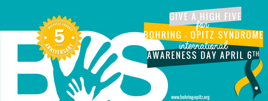 BOS high 5 fb banner 4