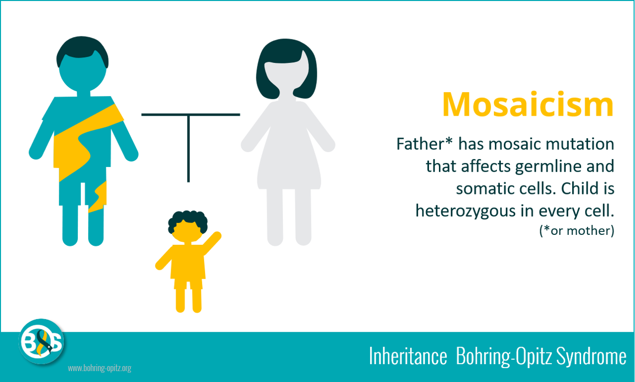 Inheritance mosaicism1