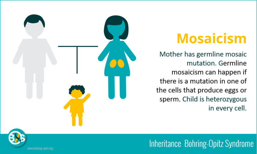 Inheritance mosaicism2