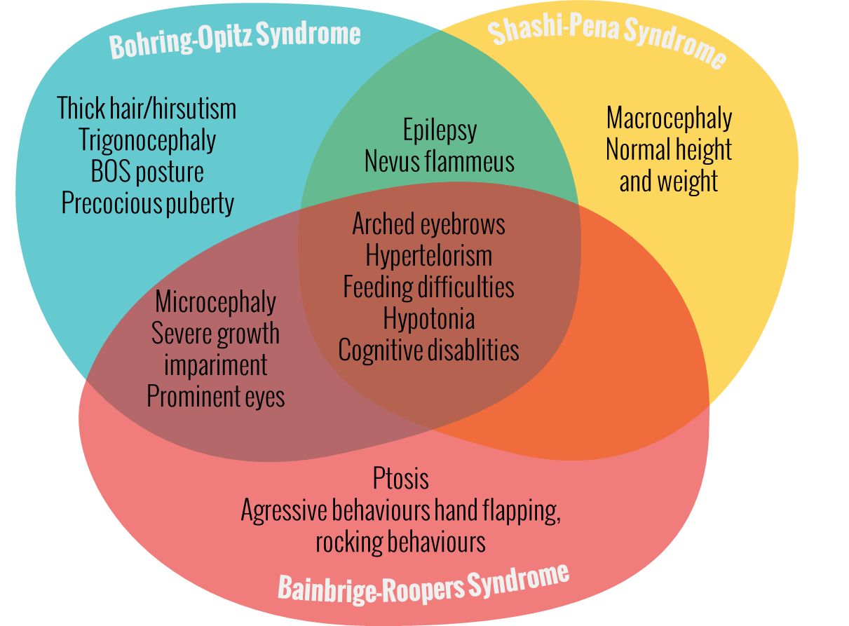 Overlapping features ASXL123
