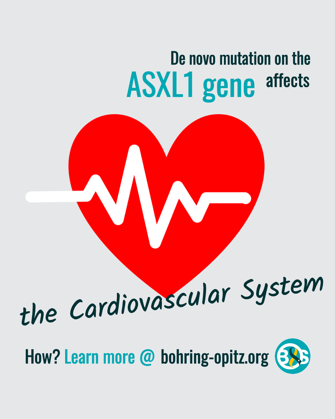 Interactive Visual Aid – Bohring-Opitz Syndrome/ASXL1
